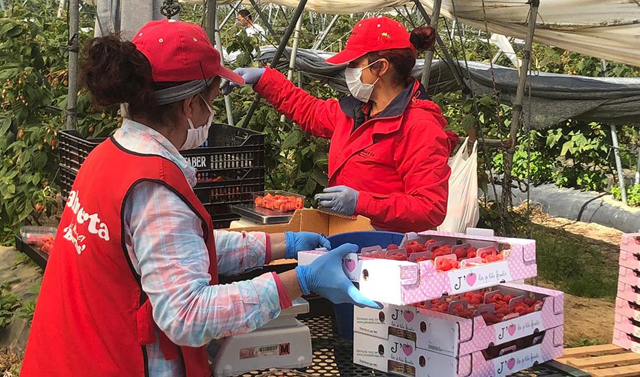 Andalucía registra un descenso del paro con 8.780 desempleados menos en junio