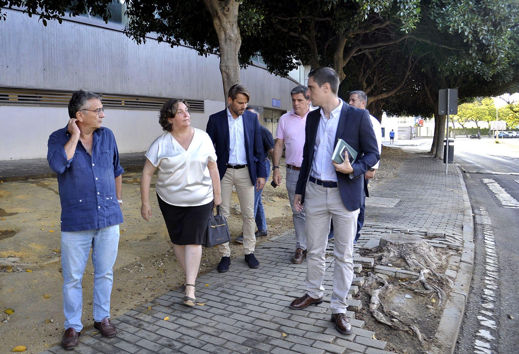 El nuevo Gobierno local frena la tala de más de 150 árboles en Chapín ordenada por el Ejecutivo de Mamen Sánchez