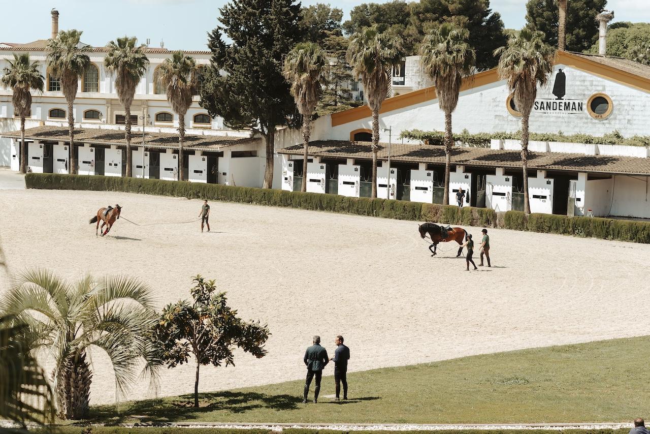 La Real Escuela convoca su oferta de cursos de formación de especialistas para 2025-2026