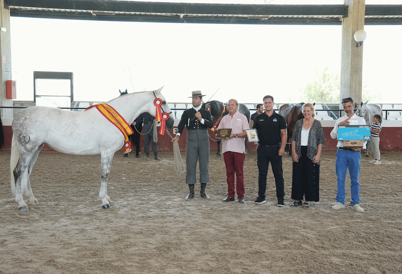 El Concurso Morfológico Cartuja se consolida en Jerez dentro de la red internacional de concursos del Pura Raza Española