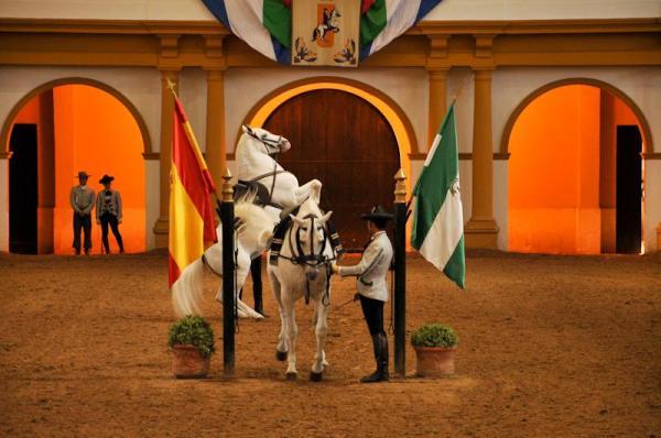 Abierta la convocatoria para cursar las titulaciones de especialistas en la Real Escuela de Jerez