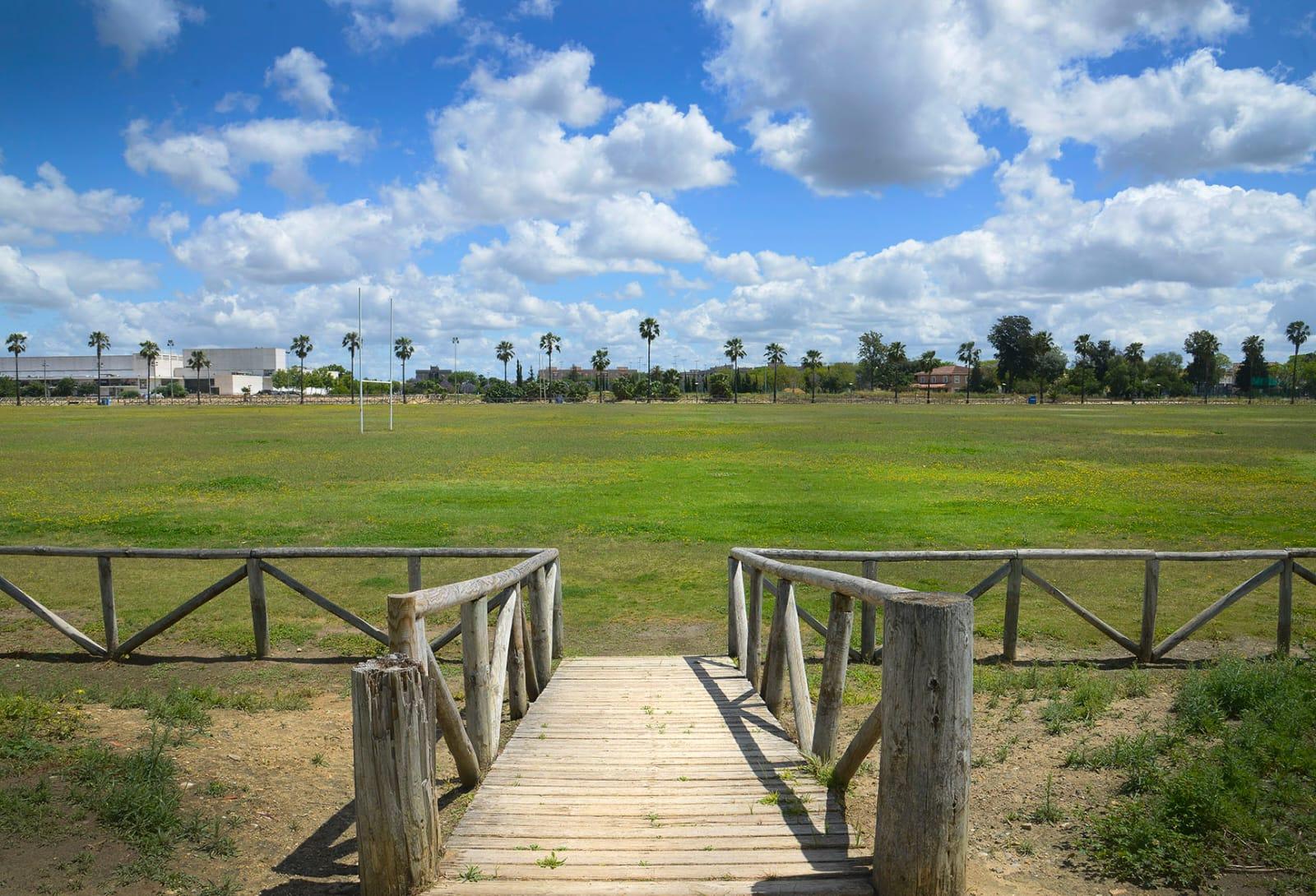 Chapín, las pistas de atletismo del Anexo y la Pradera, abiertos al público