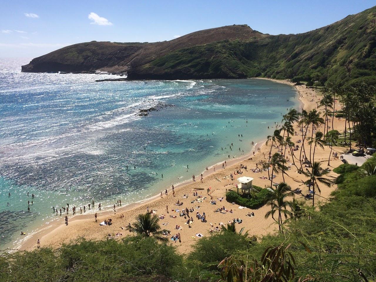 La gastronomía hawaiana se abre paso en Andalucía