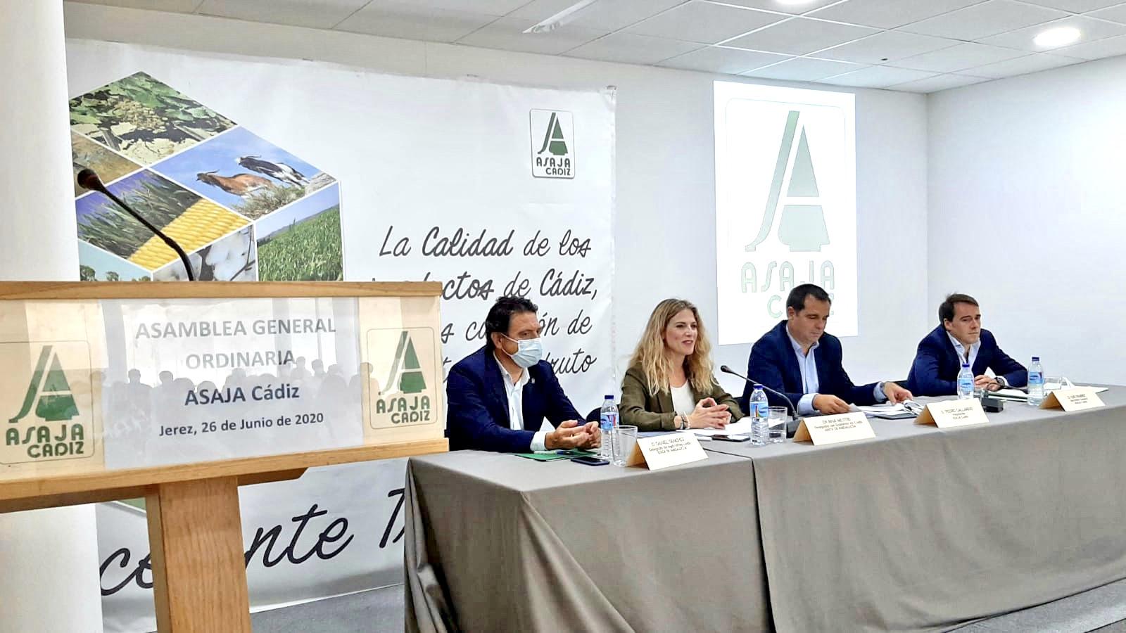 Ana Mestre destaca con Asaja el apoyo de la Junta para paliar las consecuencias del coronavirus en la agricultura