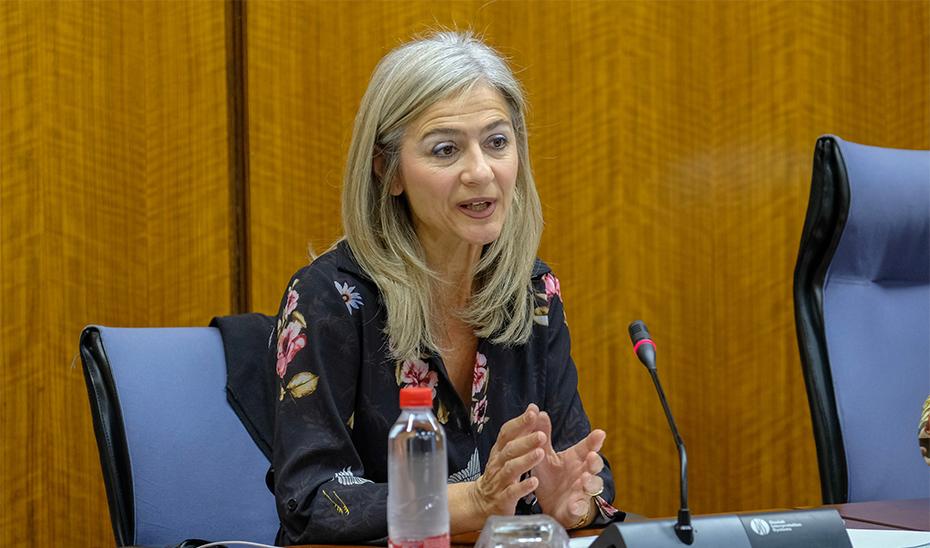 Patricia del Pozo: ''El Museo del Flamenco sigue su rumbo a la espera de que Jerez aporte las modificaciones solicitadas al proyecto"