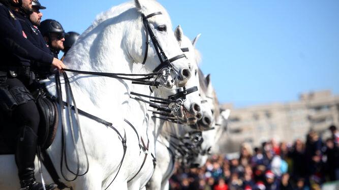 La Policía Nacional realiza este sábado 17 en Jerez dos grandes exhibiciones policiales dentro del Complejo Deportivo Chapín