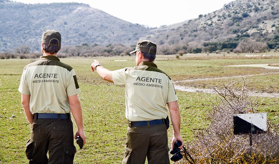 Autorizada en Andalucía la caza selectiva de ciertas especies cinegéticas los meses de julio y agosto