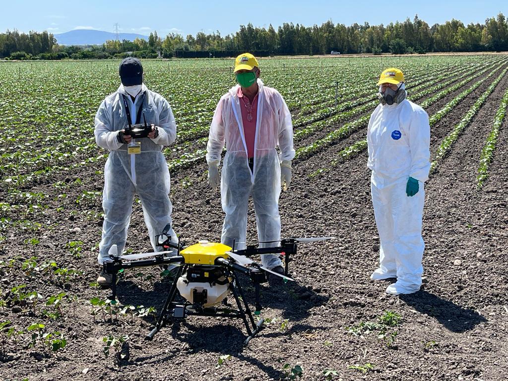 Los drones se suman a la lucha contra plagas en la Campiña de Jerez