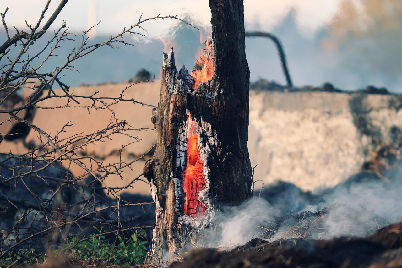 El Gobierno local del PP de Jerez inicia el proceso para actualizar el caduco Plan Municipal de Emergencia contra Incendios Forestales