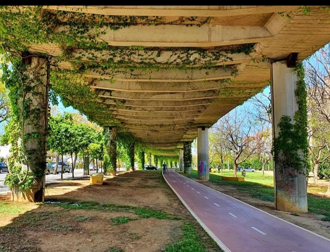 El Paseo Periodista Manuel Molina Rosado se inaugura en Jerez el próximo 4 de julio