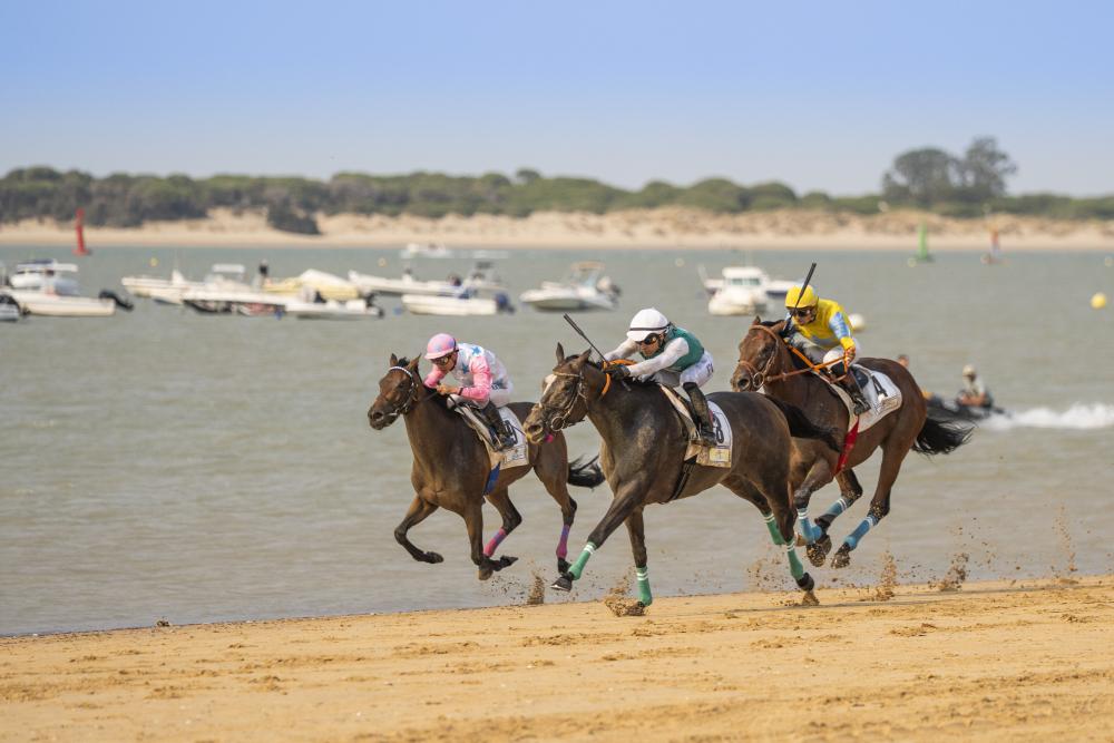 La Real Sociedad de Carreras de Caballos de Sanlúcar de Barrameda recibirá el Caballo de Oro Ciudad de Jerez 2025
