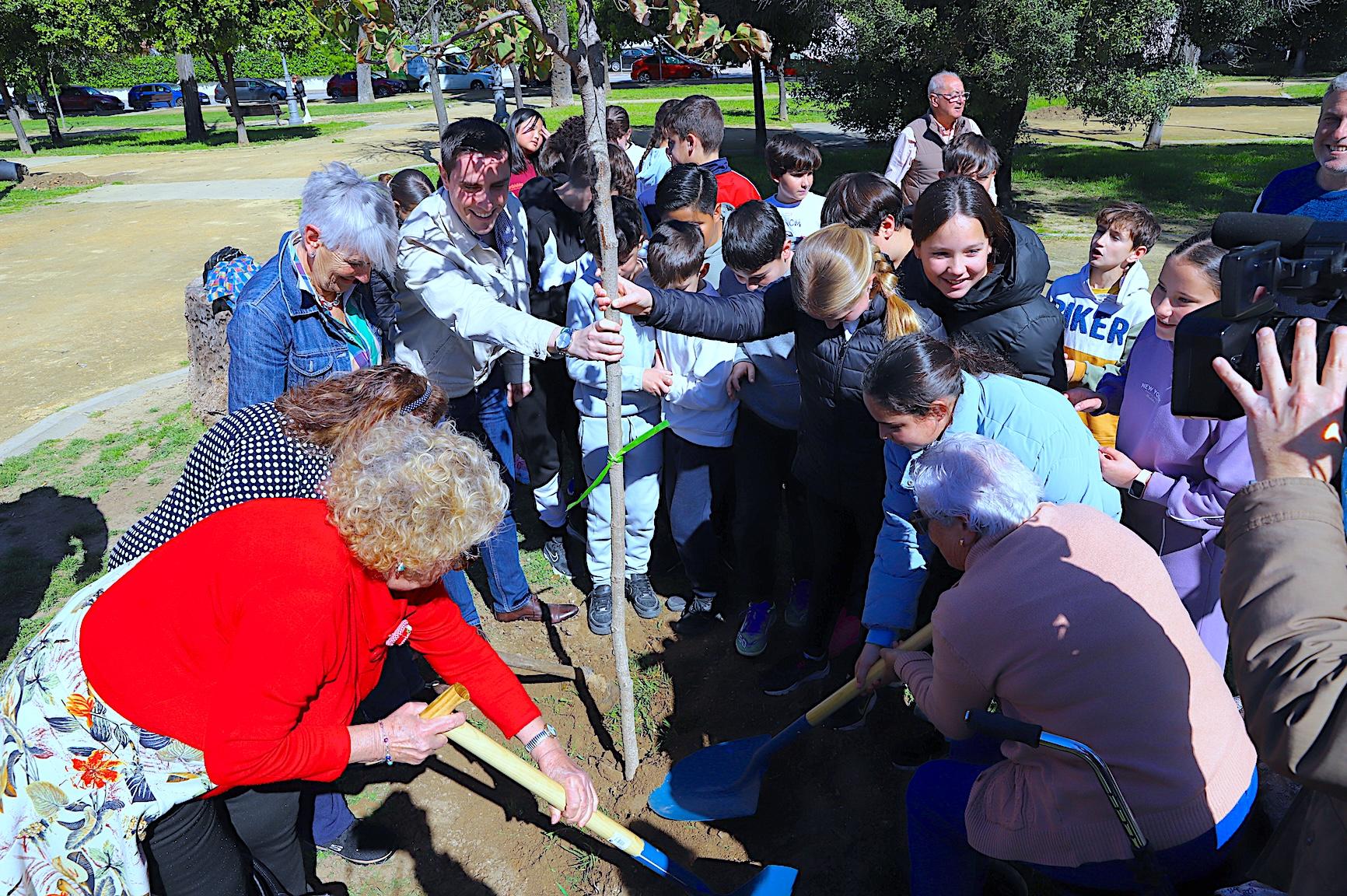 Balance positivo de las actividades de la Fiesta del Árbol de Jerez 2026