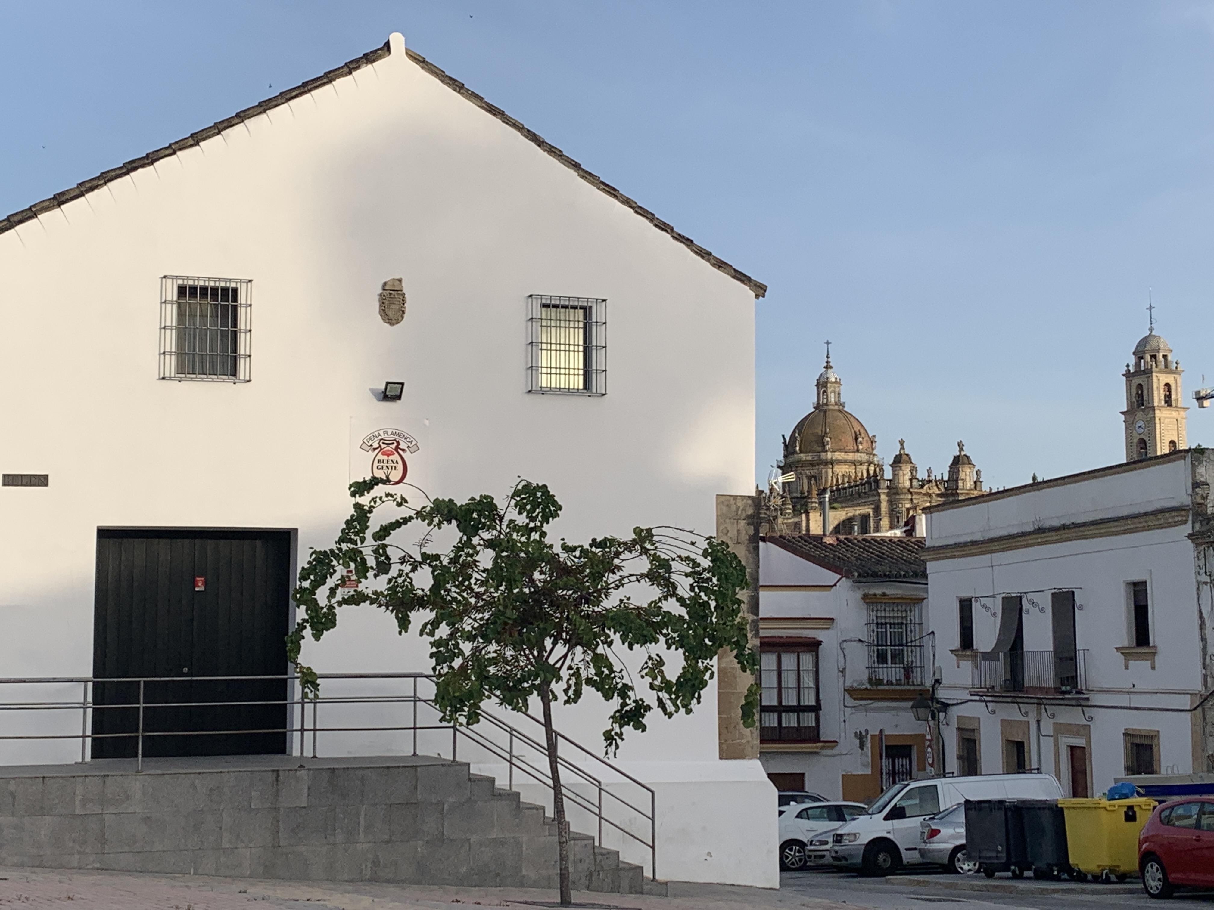 “La Peña Flamenca Buena Gente ha demostrado más eficacia en revitalizar zonas catastróficas en seis años que el Ayuntamiento en cuarenta”