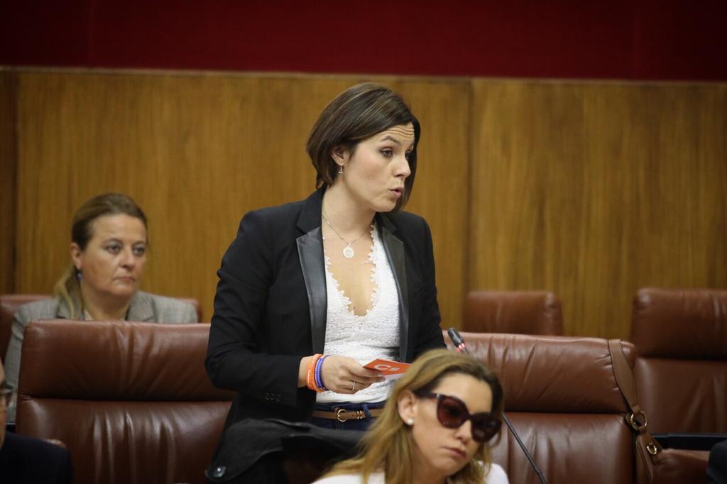 Ciudadanos aborda en el Parlamento andaluz el rechazo del PSOE a construir el centro aeronáutico de Willis en Jerez