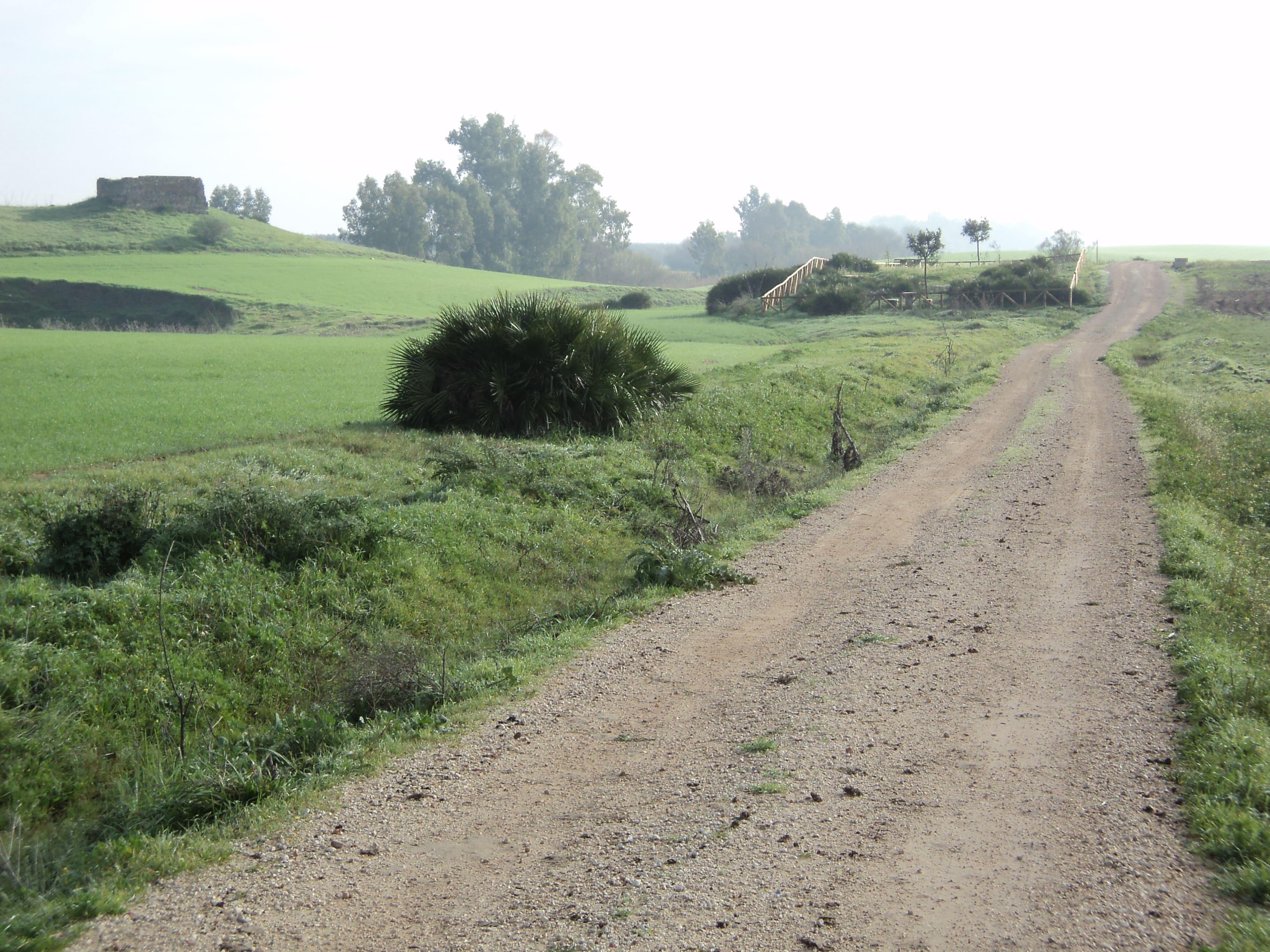 "El PSOE da la espalda al Jerez rural al tumbar la desafectación de las vías pecuarias"