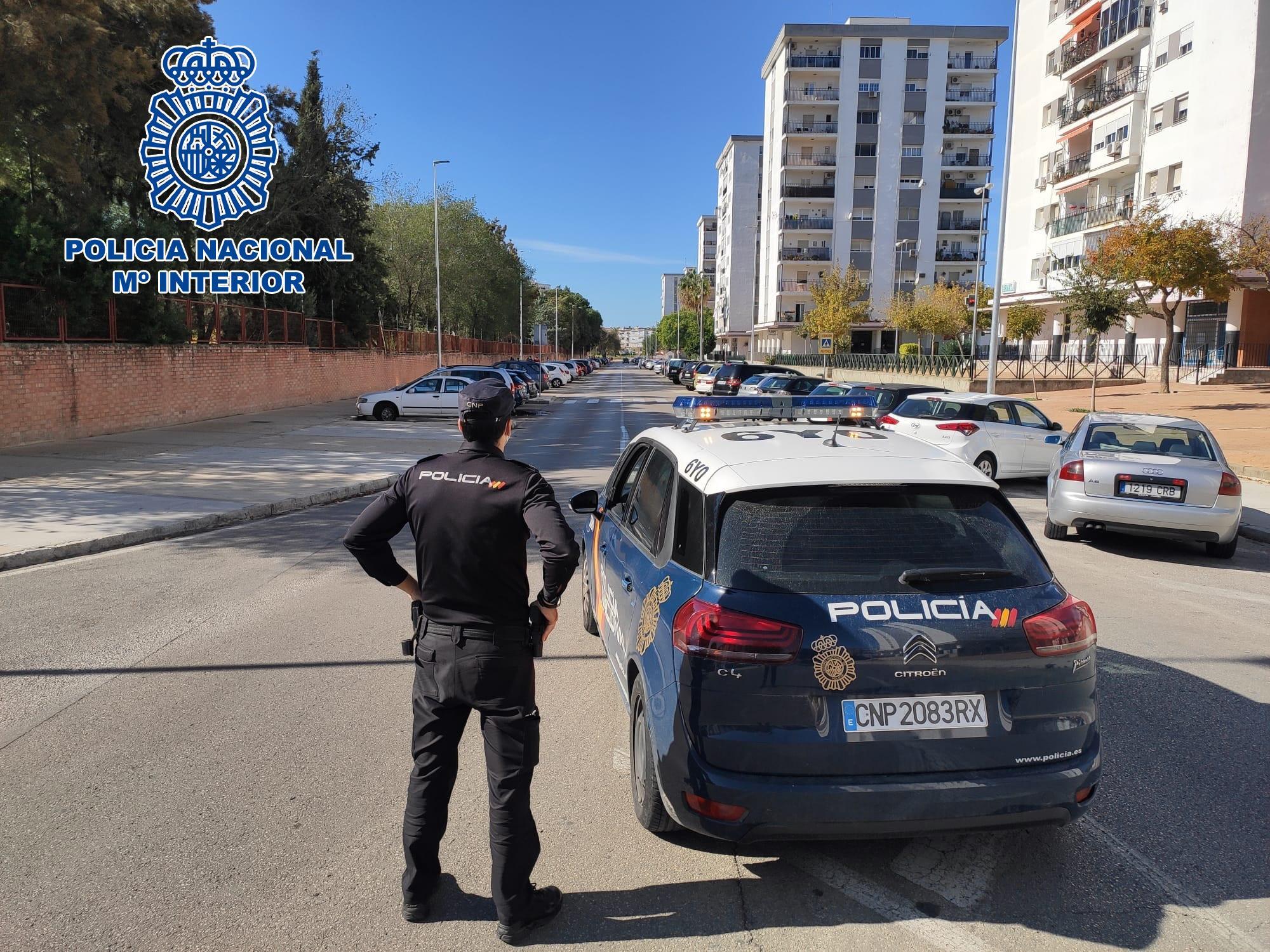 La Policía Nacional detiene en Jerez a dos personas por robos en Icovesa