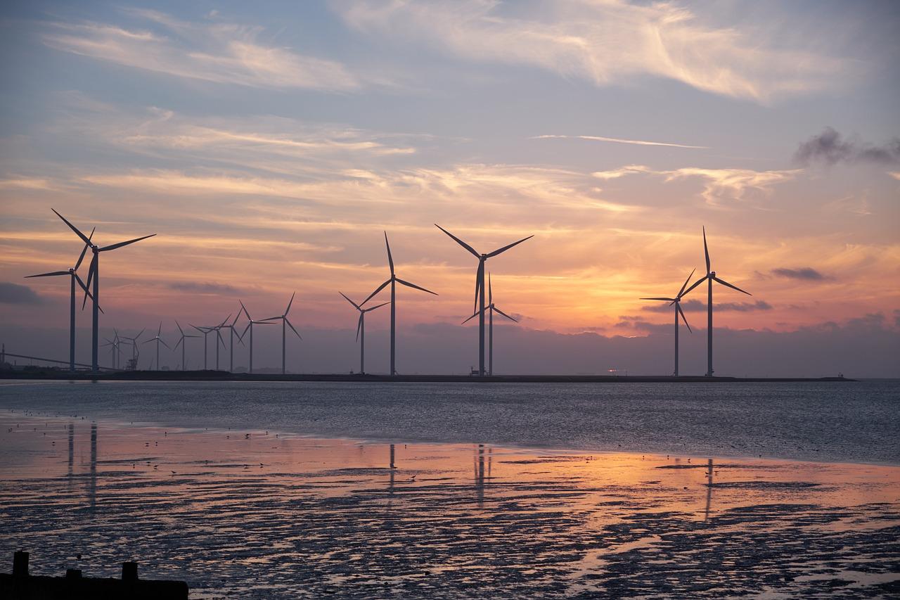 Ciudadanos cree en la energía eólica marina como un sector muy importante para generar empleo sostenible