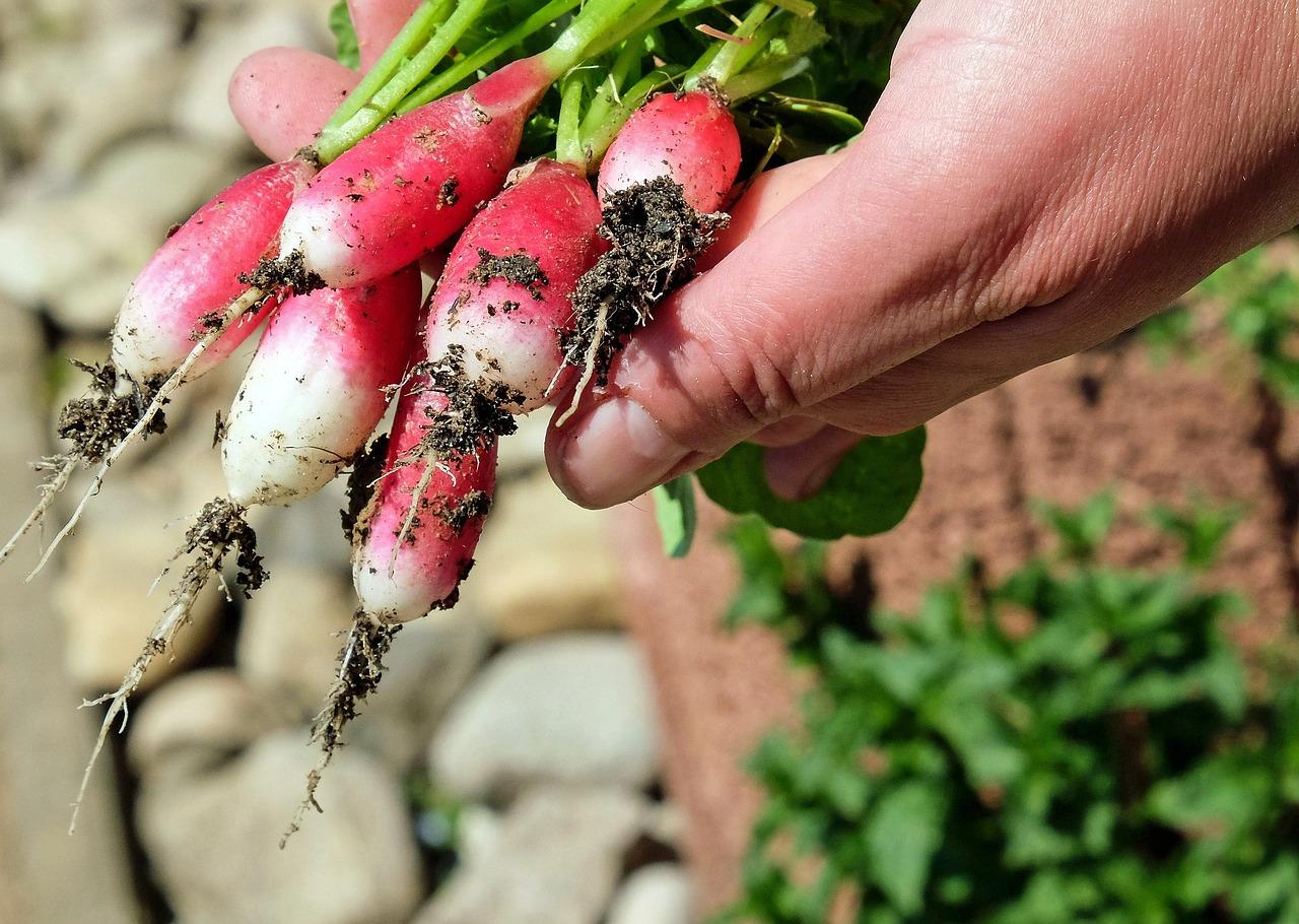 Las exportaciones agroalimentarias suben un 5,2% en el primer trimestre y superan los 4.100 millones