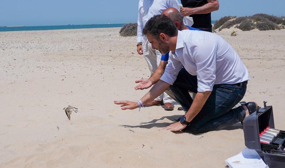 UCA, Junta y entidades colaboran para salvaguardar dos aves protegidas en la provincia