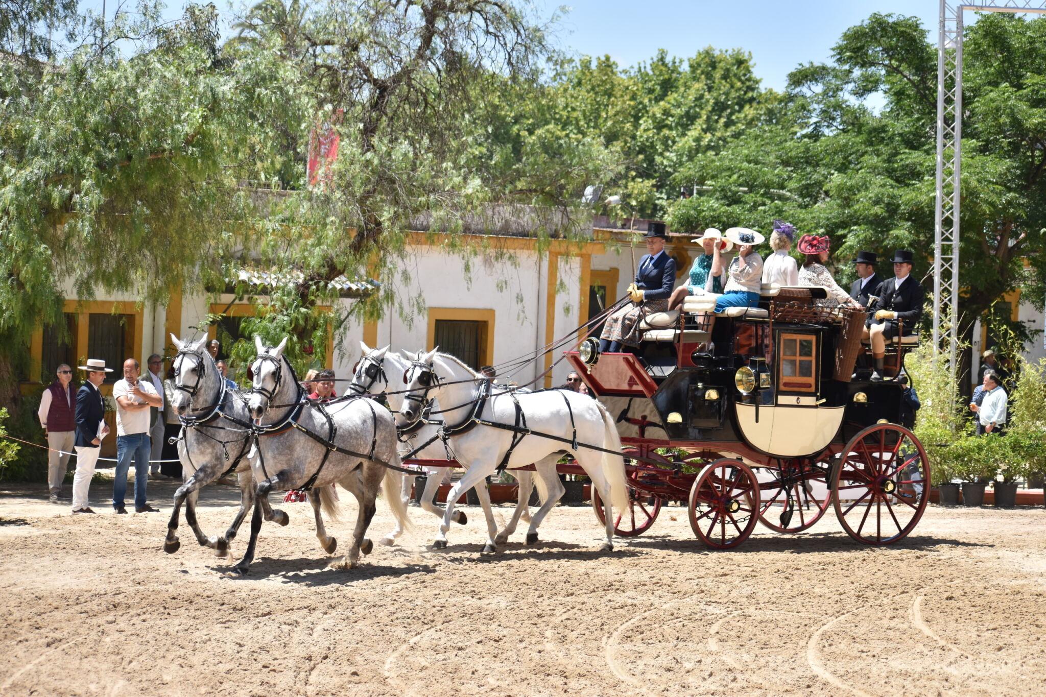 Yeguada Cartuja Hierro del Bocado de Jerez obtiene el Primer Premio en el Concurso de Enganches de Jerez