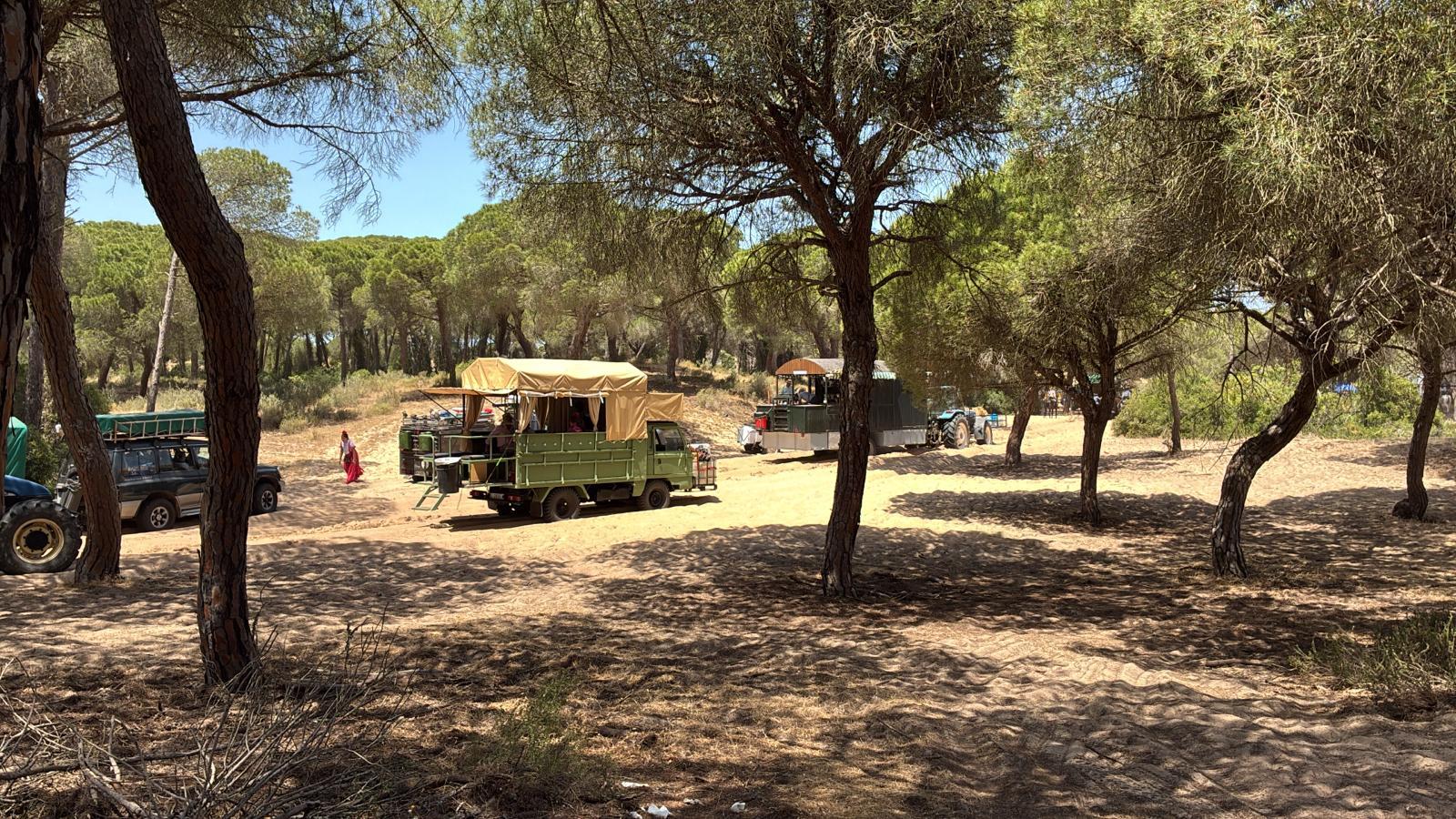 Calor y atascos en Doñana