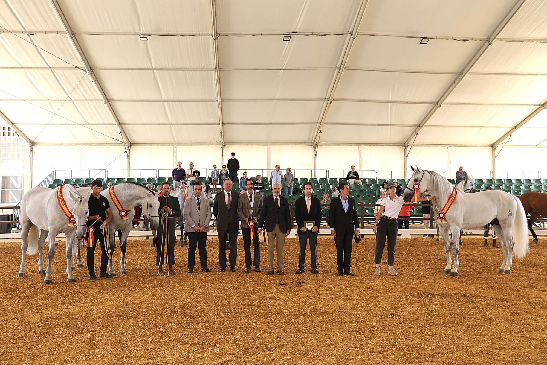 Entregados los Premios Especiales del Concurso Morfológico PRE Jerez 2026
