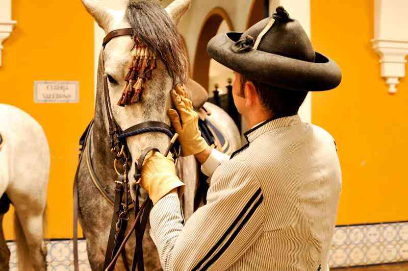 La Real Escuela de Arte Ecuestre llevará su espectáculo a Lisboa