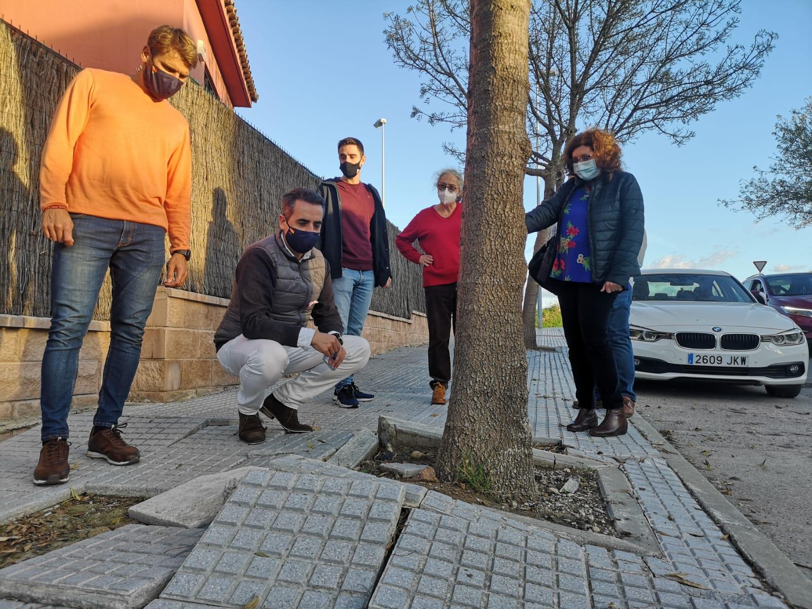 Aceras rotas, mala iluminación y falta de transportes: el PP exige a Mamen Sánchez arreglar estos problemas en la Laguna de Torrox