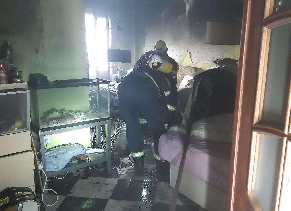 Arde una casa en Jerez al prender una manta eléctrica sobre unos terrarios de serpientes