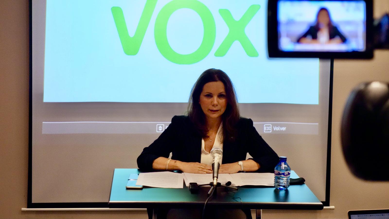 Vox insiste en que se acabe "con todo tipo de violencia intrafamiliar"