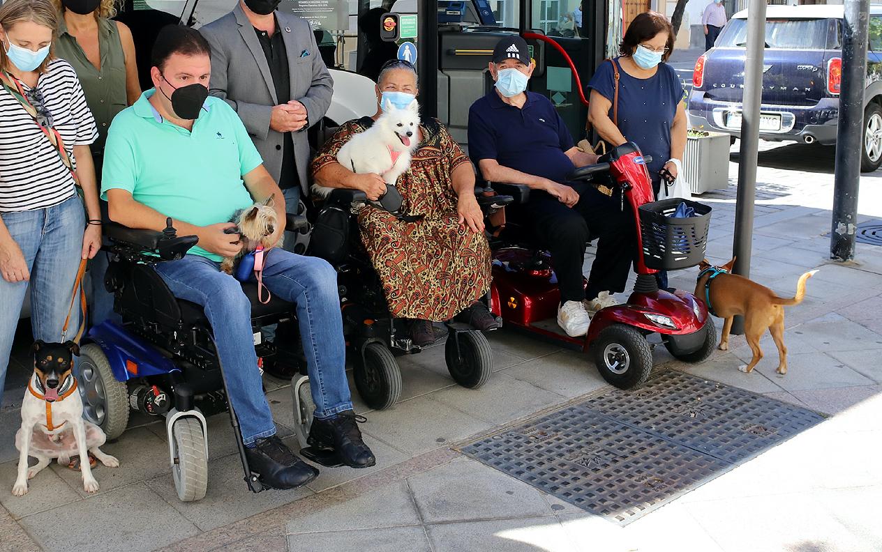 Las personas en silla de ruedas ya pueden viajar en los autobuses urbanos de Jerez con sus mascotas