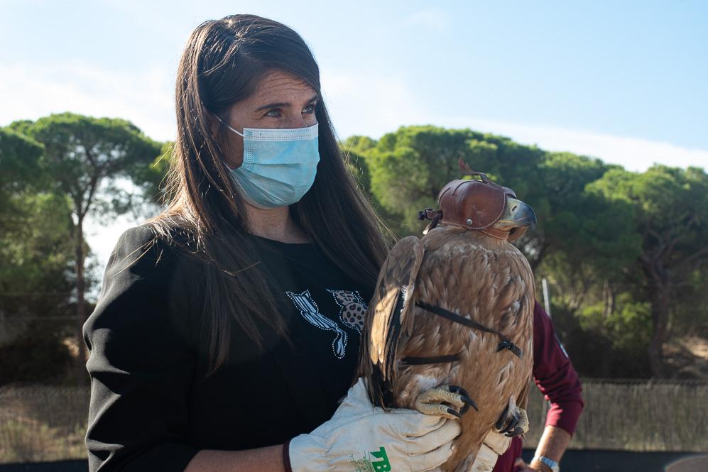 El Zoobotánico de Jerez colabora en la liberación y recuperación del águila imperial ibérica