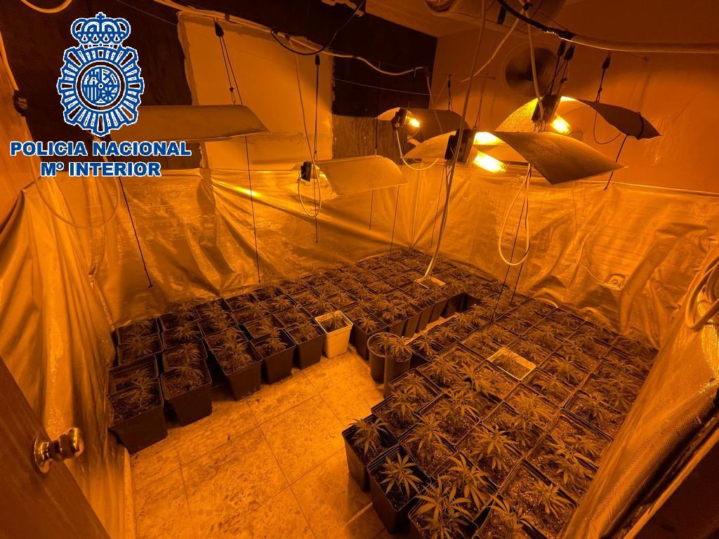 Detenida una jerezana que poseía una plantación indoor de cannabis en la Sierra de San Cristóbal