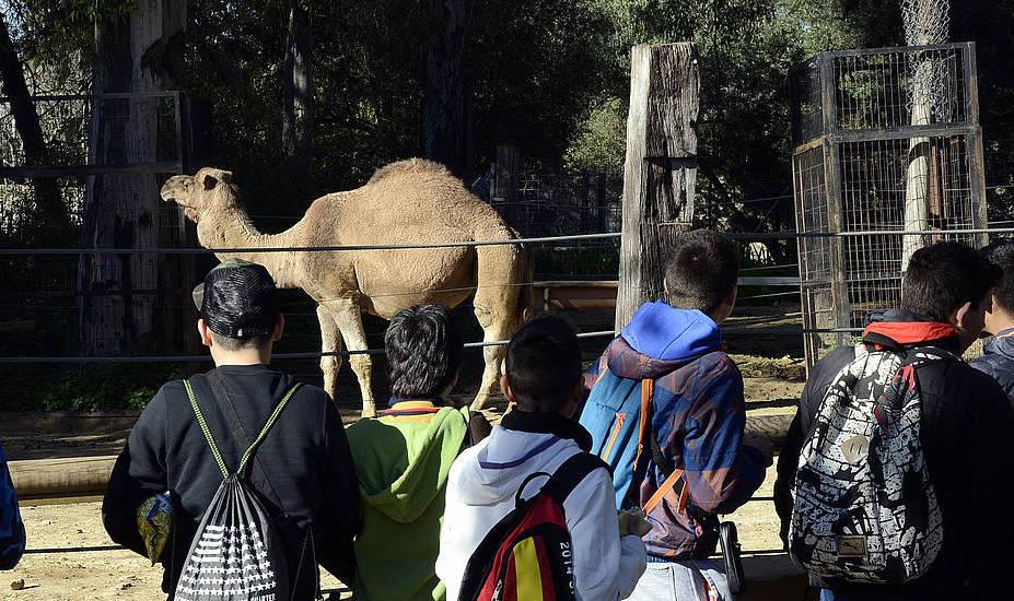 ‘Un Zoo de Miedo’  vuelve al Zoobotánico de Jerez este sábado con actividades para toda la familia