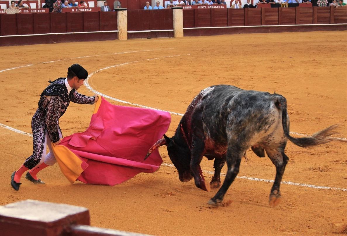 Resueltos los II Premios Taurinos de la Delegación del Gobierno de la Junta en la provincia