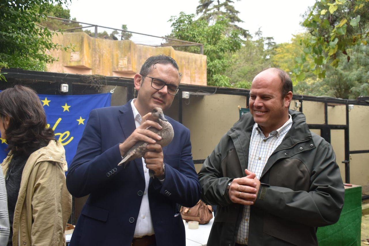 El director de Política Forestal y Biodiversidad supervisa en el Zoo de Jerez el traslado de cercetas pardillas