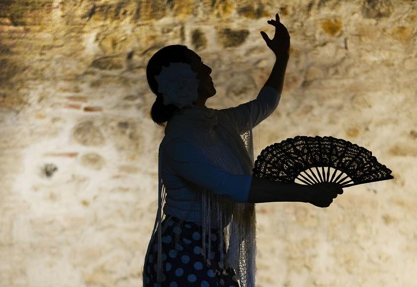 Jerez organiza una treintena de actividades por el Día Internacional del Flamenco