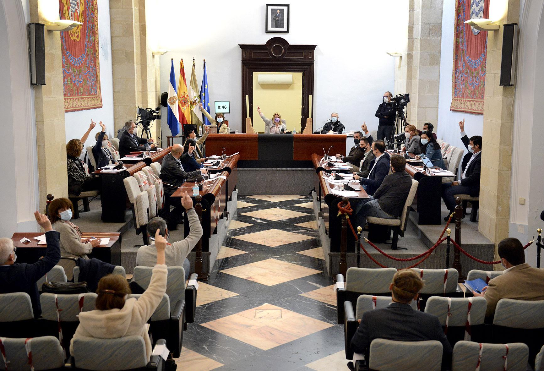 El Pleno municipal deja aparcados los asuntos no relacionados con la pandemia