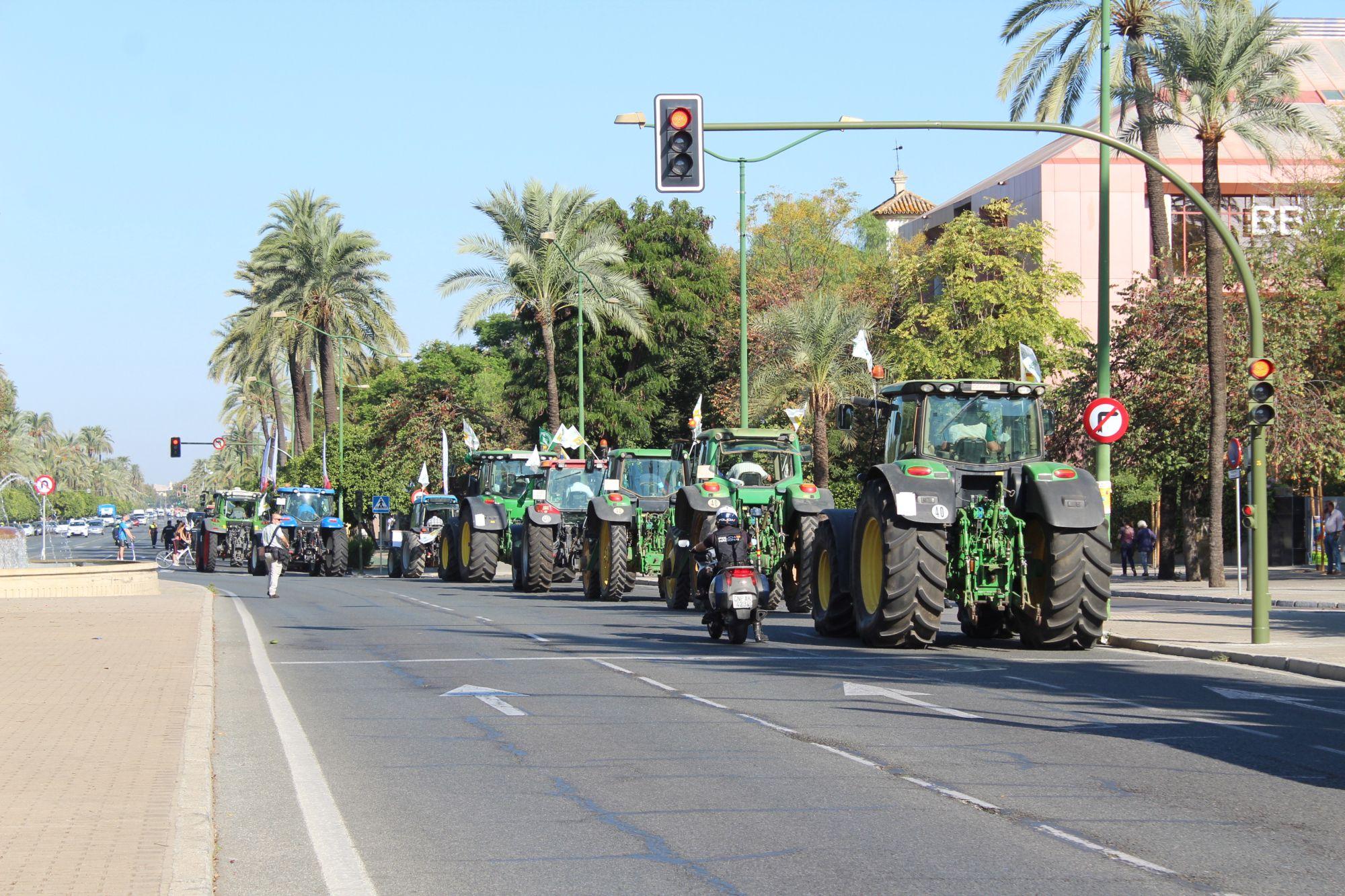 Un millar de vehículos claman en Sevilla por una PAC justa para los agricultores y los ganaderos de Andalucía
