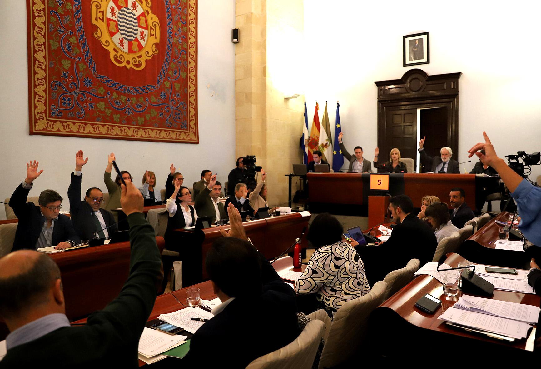 El Pleno aprueba un plan de medidas para regular la implantación de plantas energéticas en viñedos de Jerez
