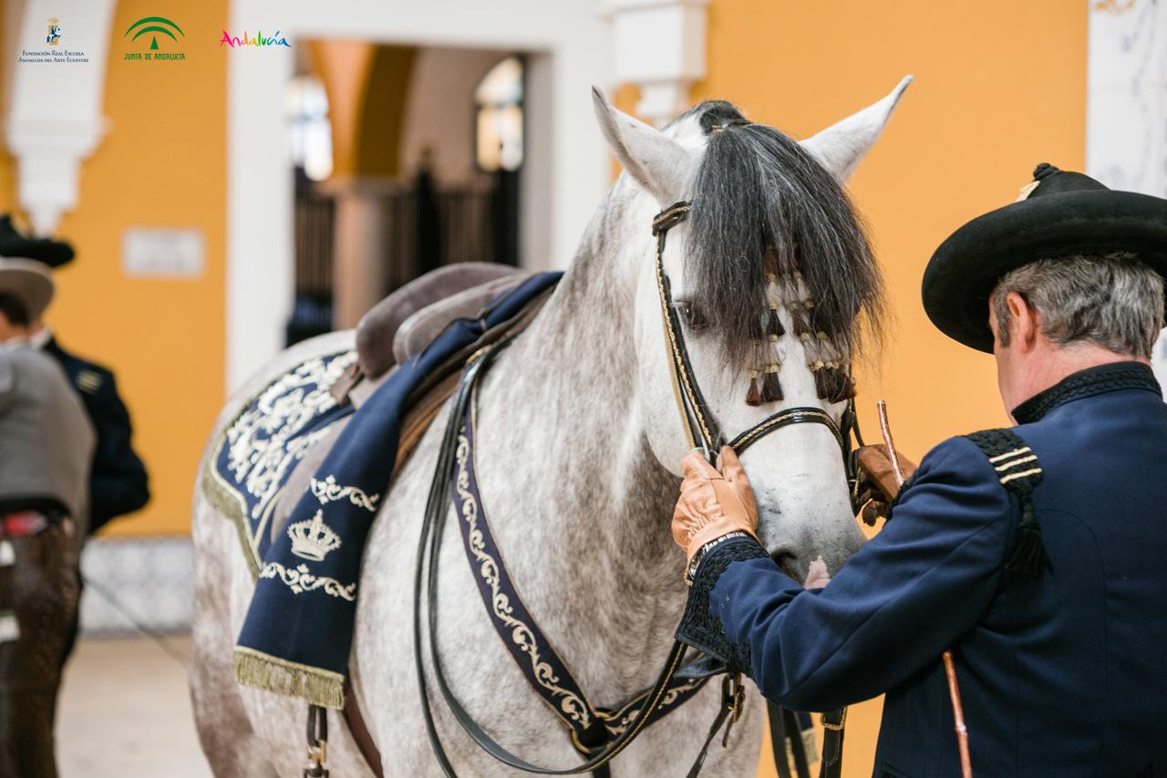 La Real Escuela acoge el Campeonato de Andalucía de Alta Escuela Española