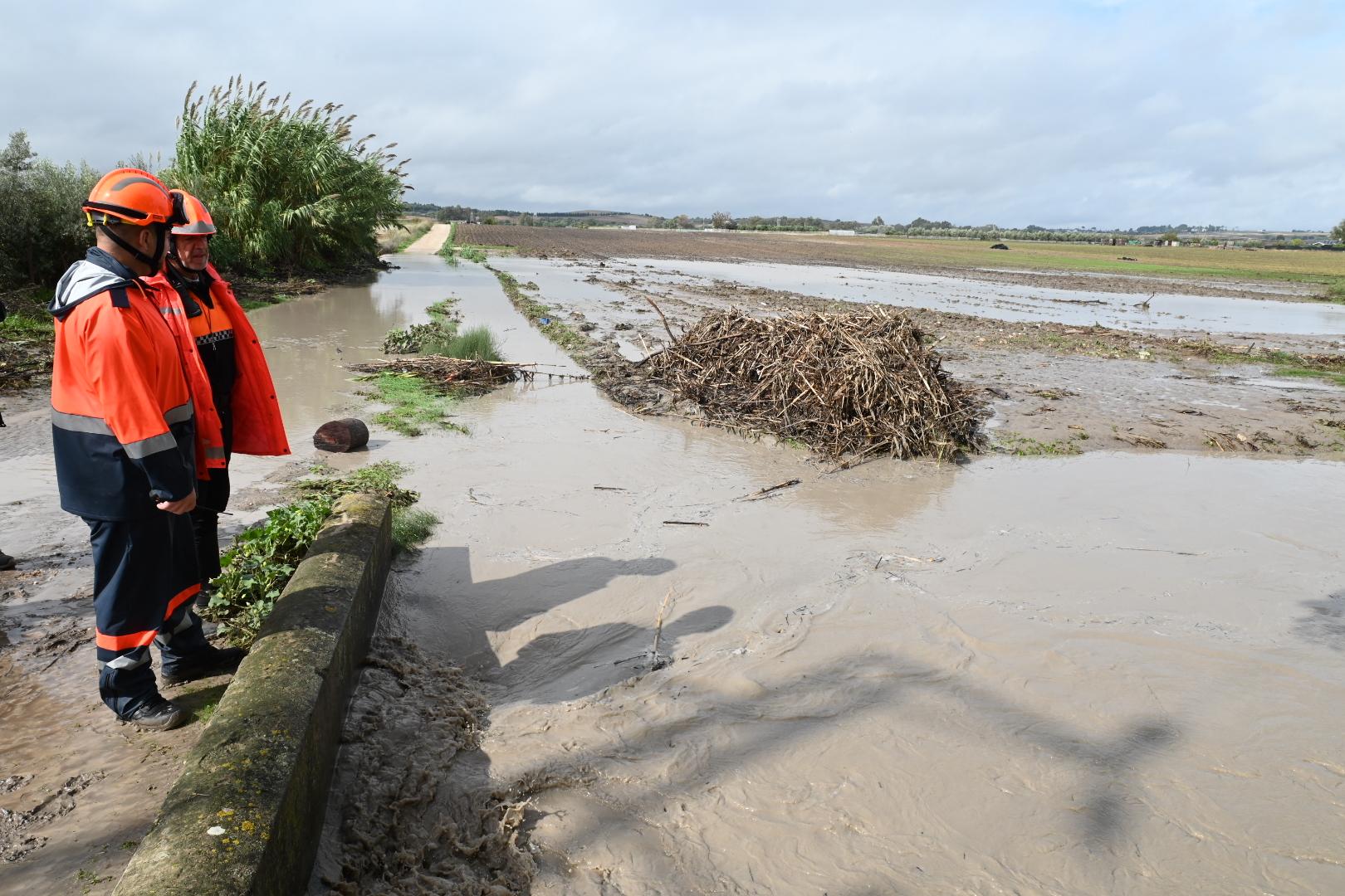 Los servicios municipales de Jerez se reforzarán con 50 operarios más durante el fin de semana