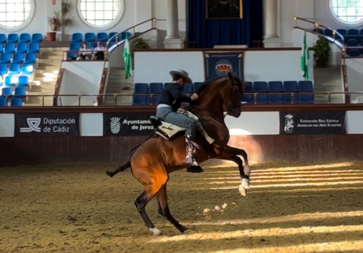 La Real Escuela acogió el XIX Campeonato de España de Menores de Doma Vaquera y el Concurso Nacional de Doma Vaquera de Caballos Jóvenes