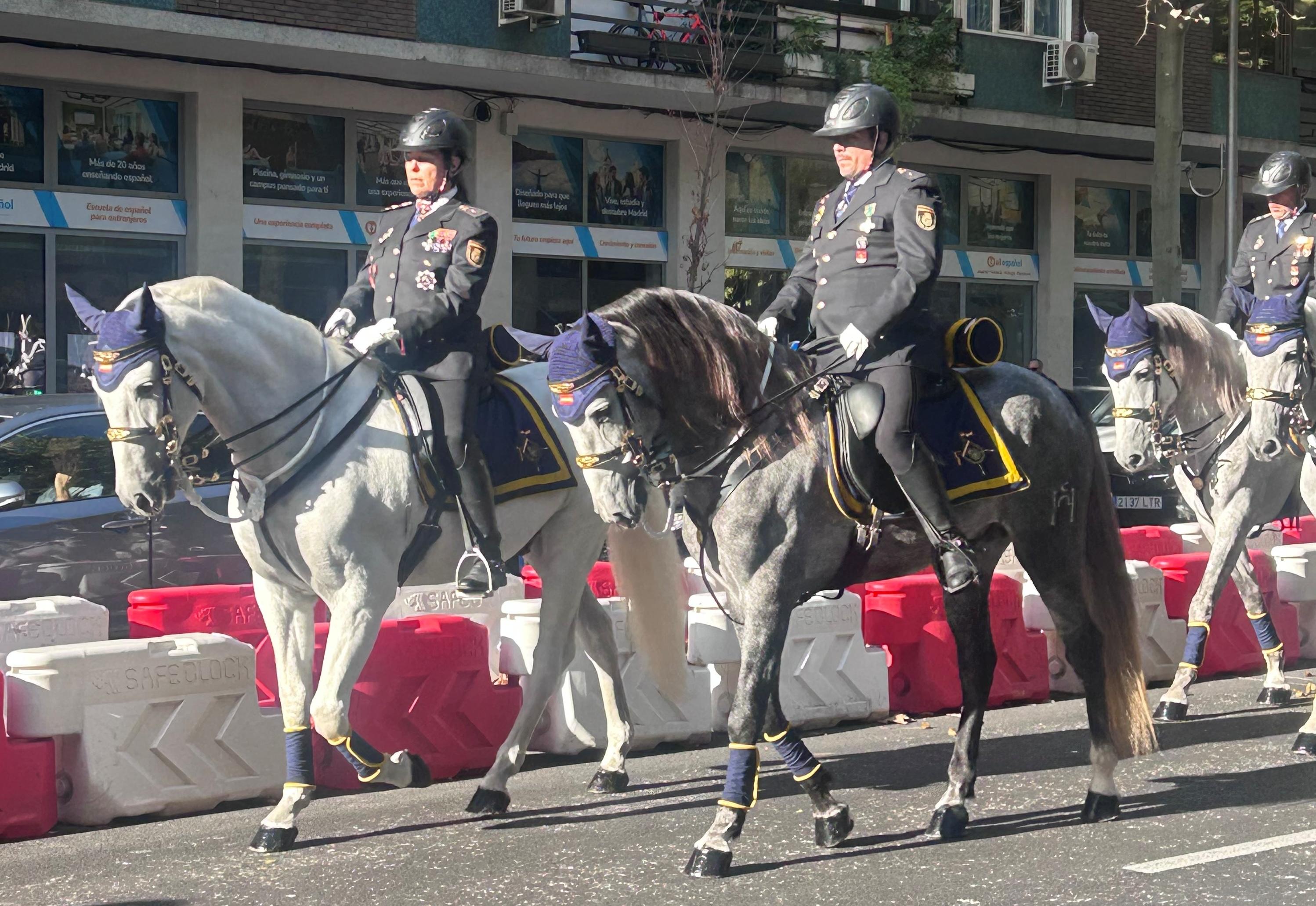 Magnífico de Cartuja, primer caballo de la Yeguada Hierro del Bocado de Jerez que participa en el Desfile de la Fiesta Nacional