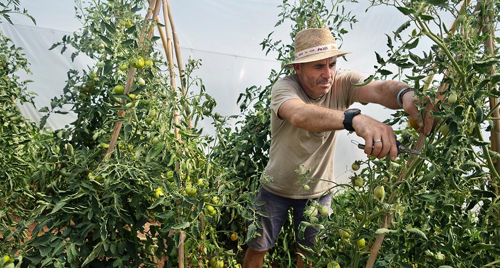 El GDR Campiña de Jerez y Costa Noroeste, seleccionado para el proyecto #Terralimenta de Fundación Carasso y Red2Red