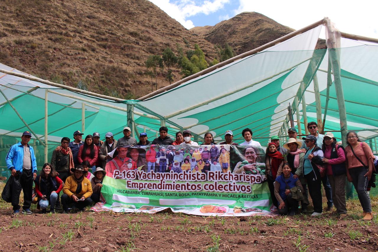 Madre Coraje y la AACID apoyan el emprendimiento de 382 familias peruanas dedicadas a la miel, al cuy y al aguacate