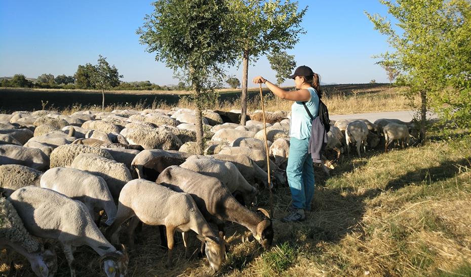 Andalucía reparte 26,7 millones en ayudas del Fondo de Reserva de Crisis de la UE por la guerra en Ucrania