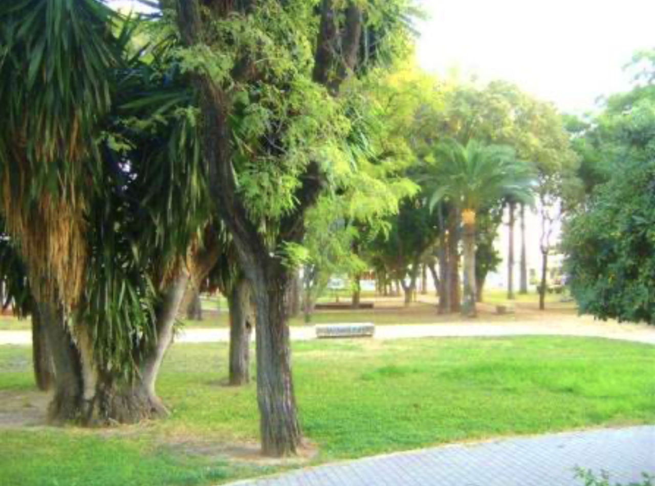 El Ayuntamiento de Jerez adjudica las obras para convertir el Parque Williams en espacio multideportivo por 119.547 euros