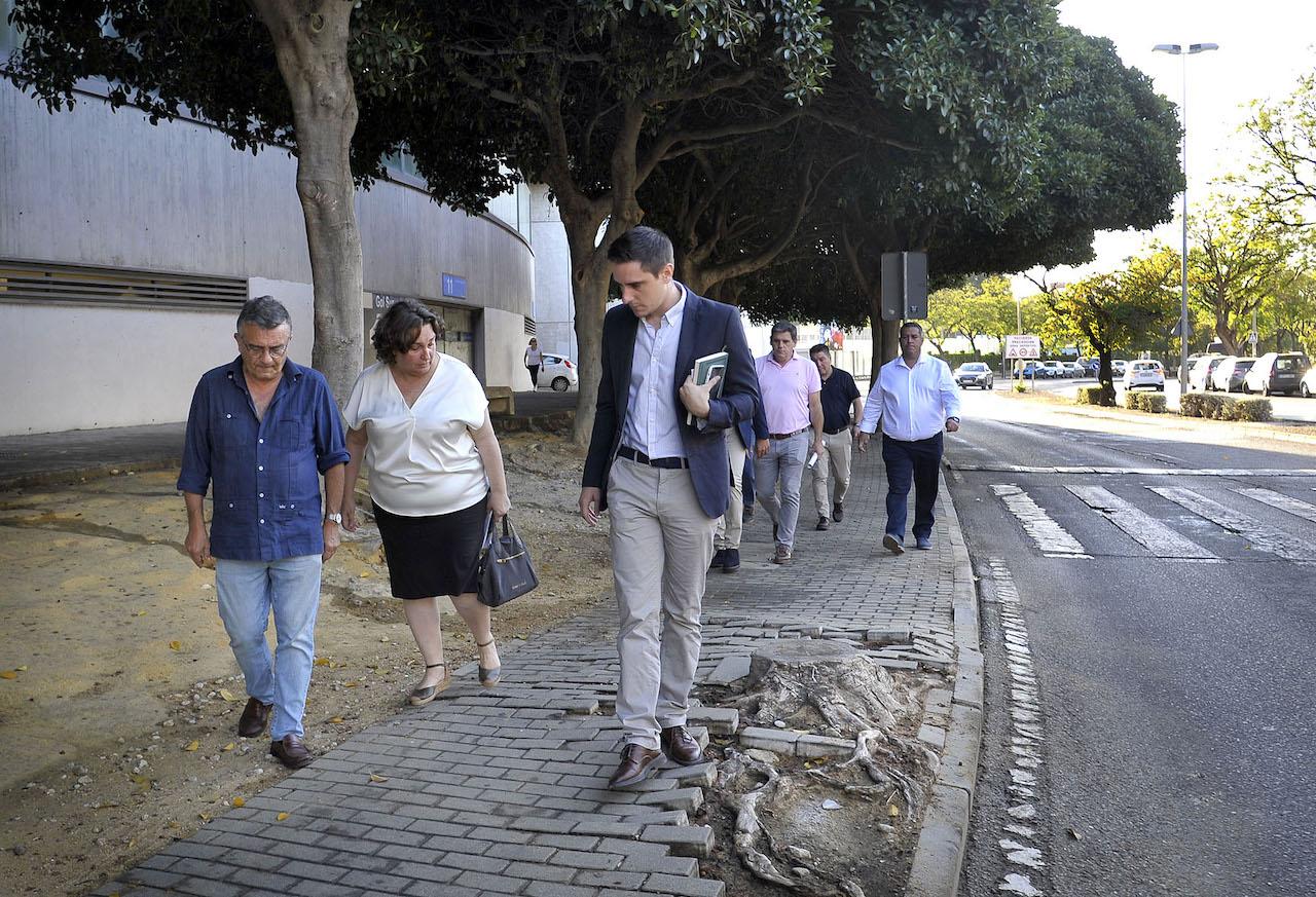 Comienzan los trabajos de preparación del arbolado del entorno de Chapín para su traslado a otras zonas verdes de Jerez