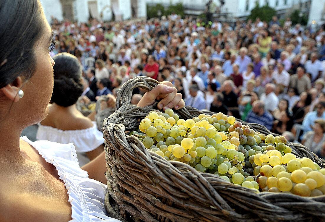 La Pisa de la Uva se aplaza al martes 5 de septiembre por las lluvias previstas para el fin de semana en Jerez